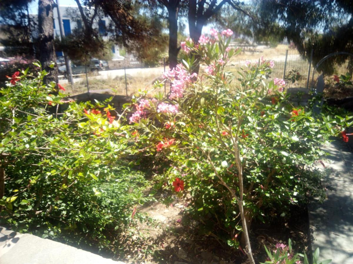 Little Stone House Near The Beach Agios Ioannis  Exterior photo